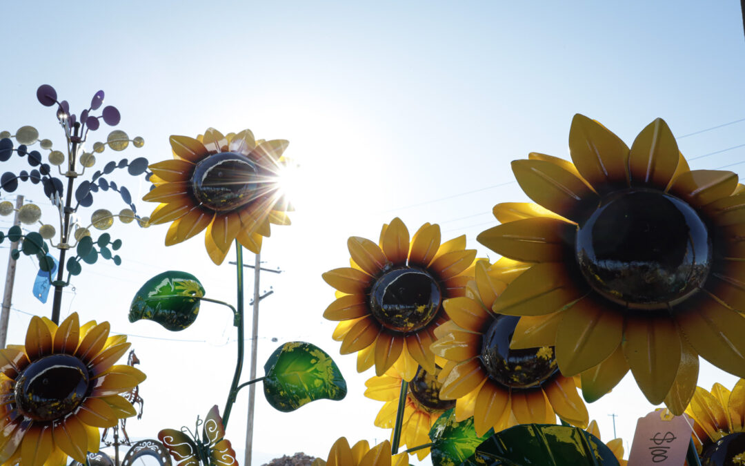 Transforming Your Yard: Adding Dimension with Custom Metal Art