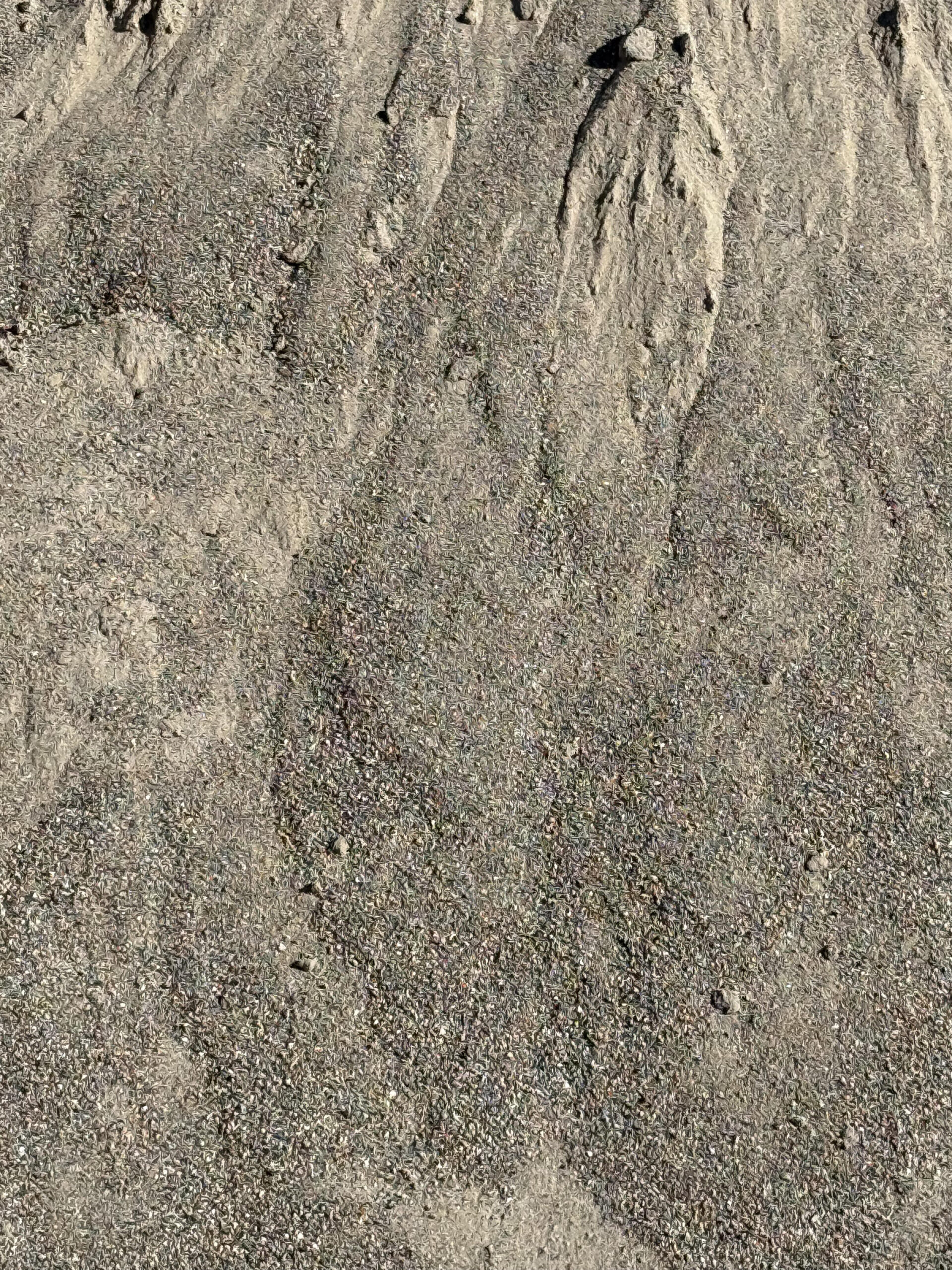Masonary Sand