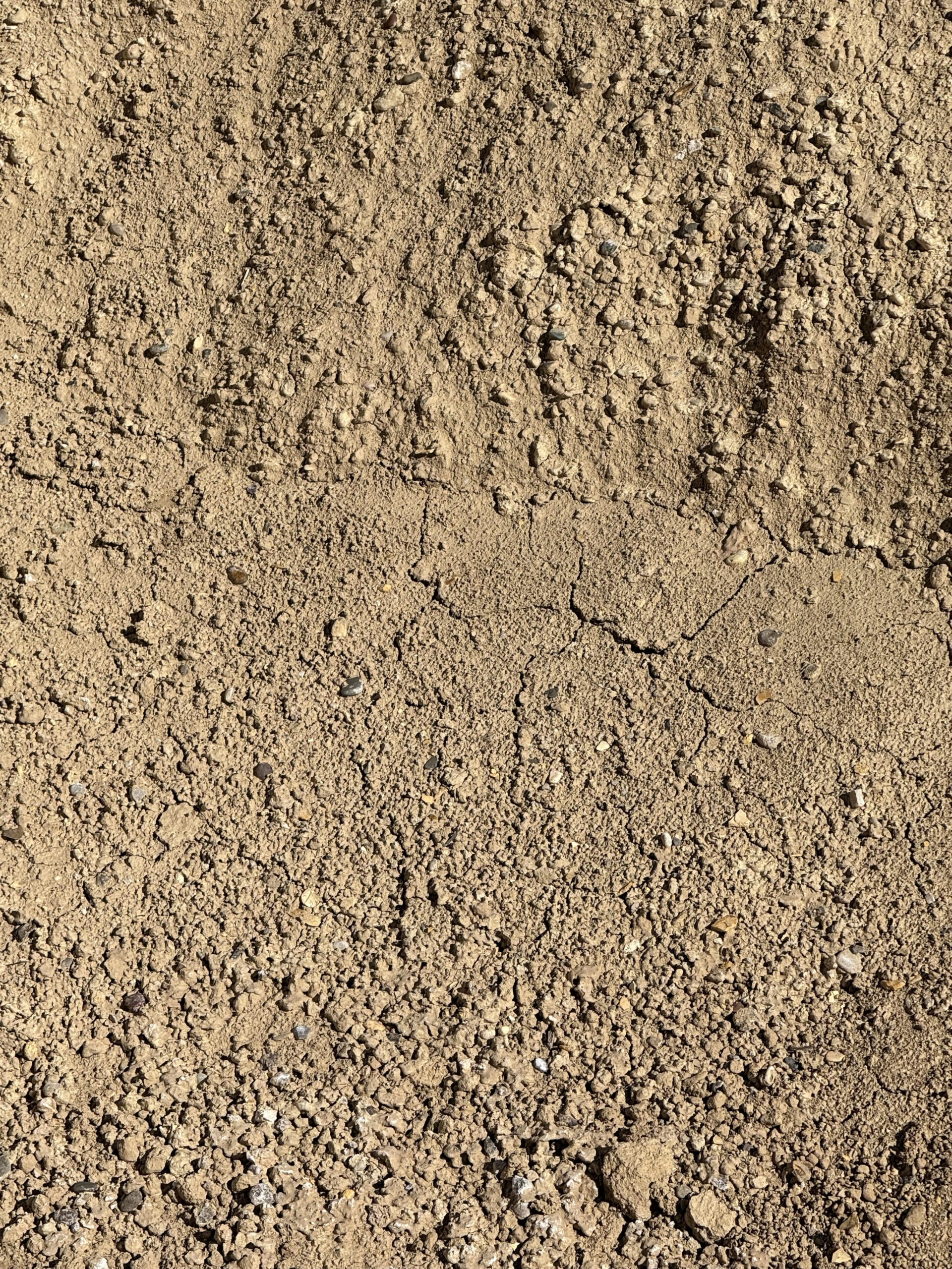Screened Dirt